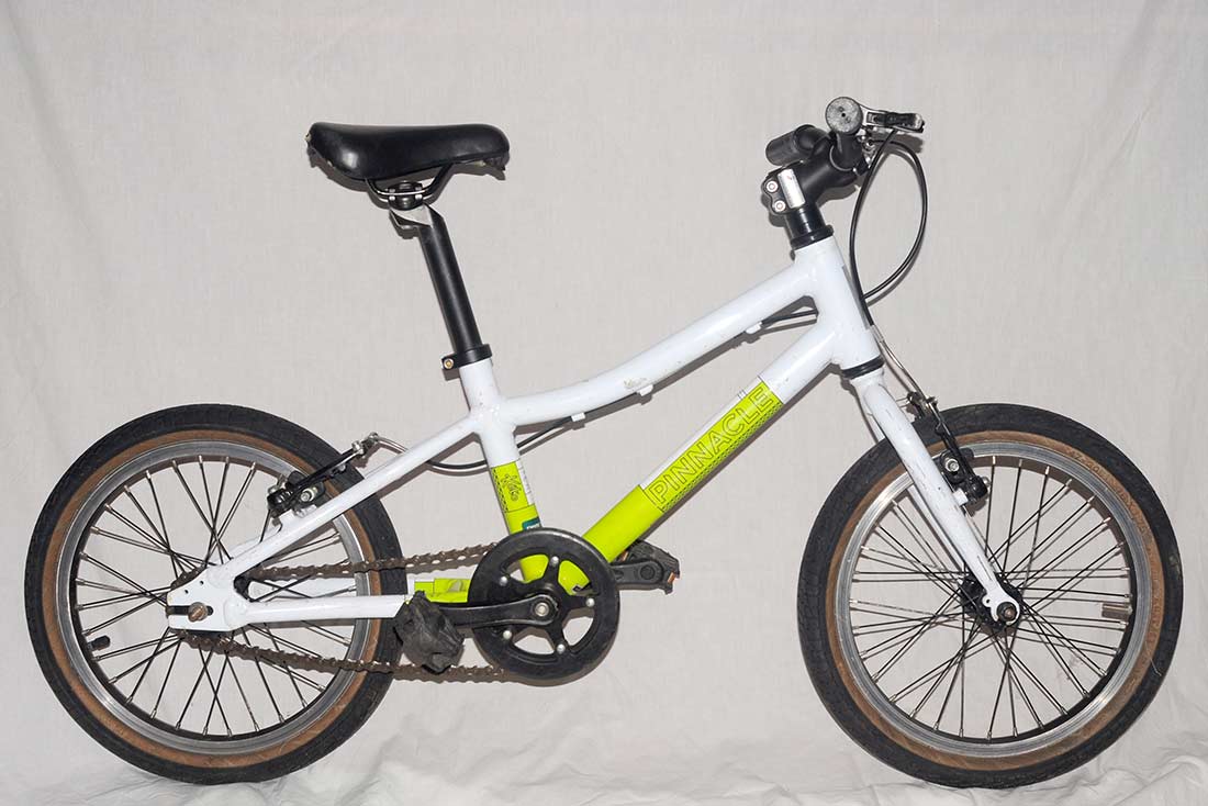 Pinnacle kids bike